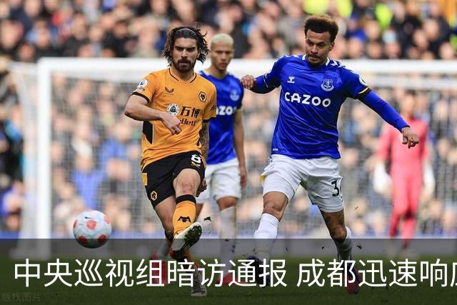 中央巡视组暗访通报 成都迅速响应立案拟顶格处罚